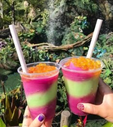 snacks en animal kingdom