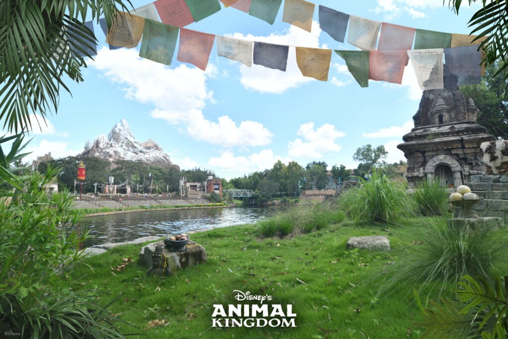 visitar Disney World
