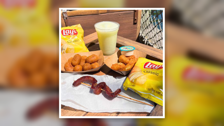 Las mejores comidas quick service en Disney World: guía práctica para comer bien y perder menos tiempo